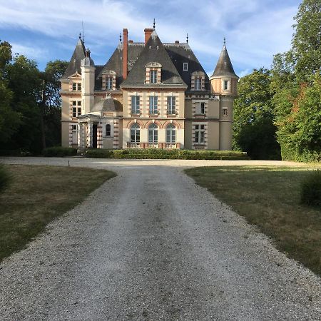 Chateau De Praslins Nogent-sur-Vernisson Exteriér fotografie