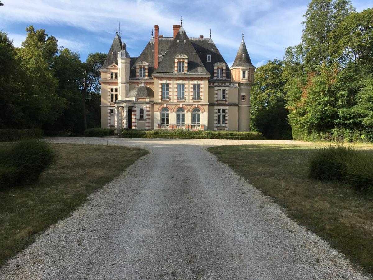 Chateau De Praslins Nogent-sur-Vernisson Exteriér fotografie