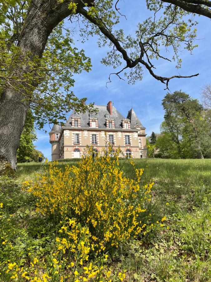 Chateau De Praslins Nogent-sur-Vernisson Exteriér fotografie